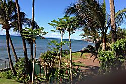 201 Kanai a Nalu/ Hau'oli LLC