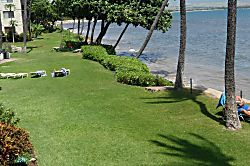 201 Kanai a Nalu/ Hau'oli LLC