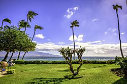 201 Kanai a Nalu/ Hau'oli LLC