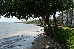 201 Kanai a Nalu/ Hau'oli LLC