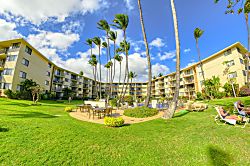 201 Kanai a Nalu/ Hau'oli LLC