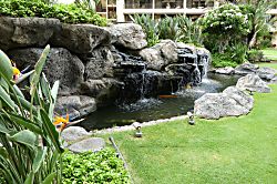 Sugar Beach Resort 201