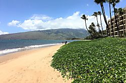 Sugar Beach Resort 201