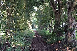 Hale Anuenue at Princeville Condo Near Anini