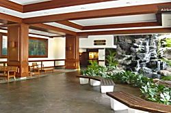 Waikiki Banyan 1213-1