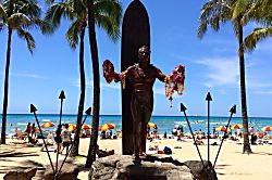 Waikiki Banyan 1213-1