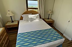 Waikiki Banyan 1213-1