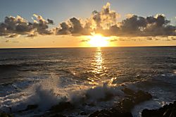 Tropical Garden Bungalow