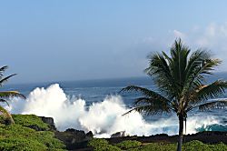 Tropical Garden Bungalow