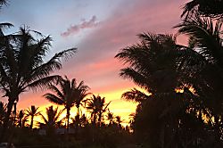 Tropical Garden Bungalow