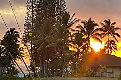 Tropical Garden Bungalow