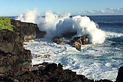 Tropical Garden Bungalow