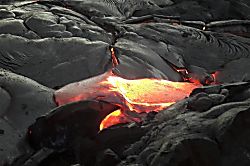 Tropical Garden Bungalow