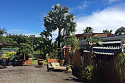 Tropical Garden Bungalow