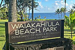 Tropical Garden Bungalow