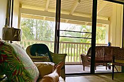 The 19th Hole with Air Con