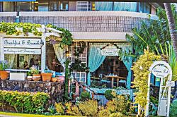 Hawaiian Monarch Waikiki Unit