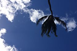 Ma'alaea Kai Penthouse Suite