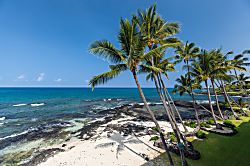 Kona Bali Kai Unit #312