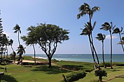 Menehune Shores  2 Bedroom Oceanfront Unit