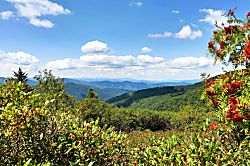 Cliffs at Princeville Condo Rental