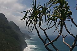 Cliffs at Princeville Condo Rental