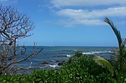 Coconut Coast Condo First Floor