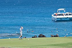 The Point at Mauna Lani C 204