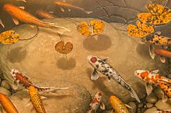 The Point at Mauna Lani C 204