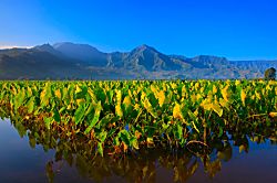 Na Hoku, The Upstairs Beach House