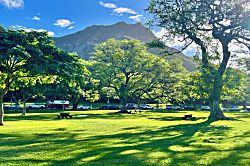 Diamond Head Beach Hotel 402