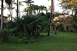 Kihei Garden Estates C-102