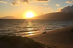 Kihei Garden Estates C-102