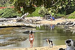 Lae Nani Beach Resort #413