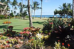 Lae Nani Beach Resort #413