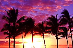 Kanai A Nalu Unit 402