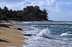 Hanalei Moon Beach Cottage