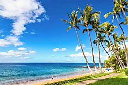 Wailea Elua 2103 - Beach