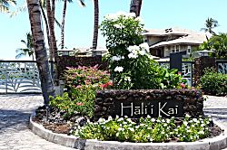 Cooks Landing (Halli Kai 18H)