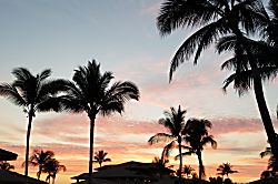 Cooks Landing (Halli Kai 18H)