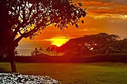 Ma'alaea Oceanfront Condo 101