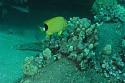 Hale Mahina Beach Resort