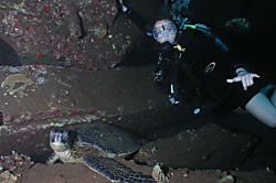 Hale Mahina Beach Resort