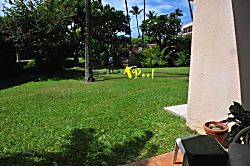 'Palekaiko' at Kihei Akahi 