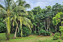 Cliffs at Princeville 1202