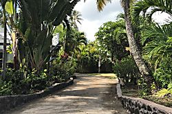 Kailua Beach Front Estate Steps to Sand