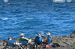 Nice Big House near Kehena Black Sand Beach
