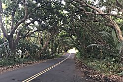 Nice Big House near Kehena Black Sand Beach
