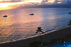 The Whaler 11th Floor