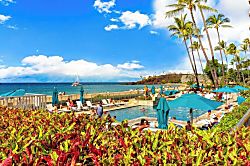 The Whaler 11th Floor